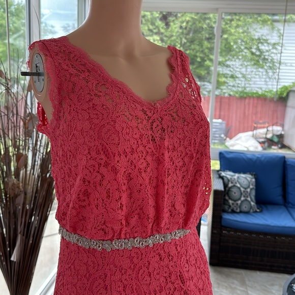 Watermelon pink lace a cut dress - Picture 3 of 5